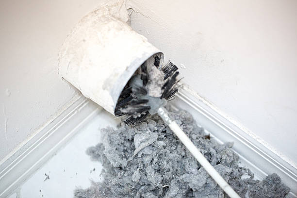 Best Emergency Air Duct Cleaning  in Pumpkin Center, NC